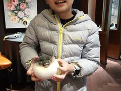 -肆月河豚·淮扬菜·湘菜(华天店)