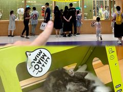 -帕帕拉兹宠物(亚洲旗舰店)