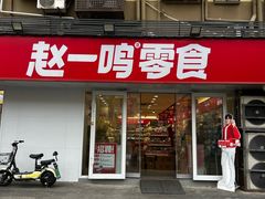 -赵一鸣零食(江苏南京福园街店)
