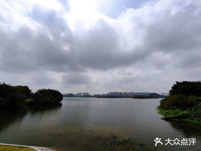 松山湖南湖湾露营营地图片