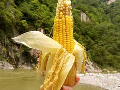 -宝天曼峡谷漂流