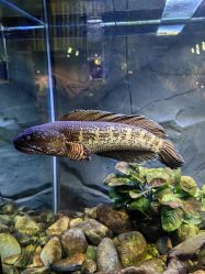 -Zoolung Zoolung动物主题公园(海信广场店)