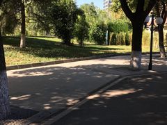 -西北湖绿化广场
