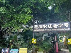 -芭厘农庄老字号·清远鸡