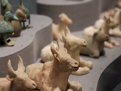 -广西壮族自治区博物馆