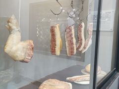 -游龙石文化科普馆