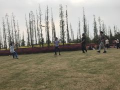 -两河城市森林公园