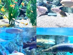 -正佳极地海洋世界