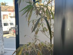 -古耳咖啡(北锣店)