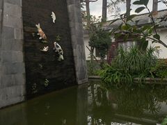 -瑞丰园庭院餐厅·白族传统家常菜