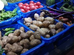 -朝阳菜场(白塔西路店)