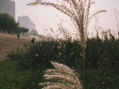 -武昌江滩