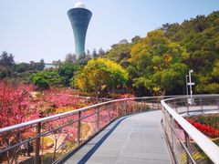 -狐尾山公园