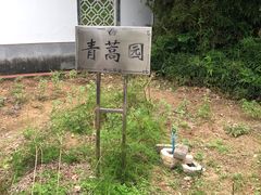 -广州神农草堂中医药博物馆