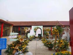 -Sunny喜铺婚礼策划(东部店)