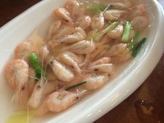 盐水白虾-西新饭店(城中店)