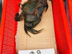 -龙海鲜螃蟹王(宏茂桥店)