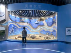 -广东惠东海龟国家级自然保护区