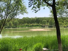 -北京麋鹿生态实验中心