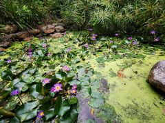 -深圳国际园林花卉博览园