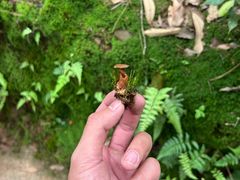 -昆明青龙峡风景区