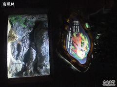 -苏州海洋馆