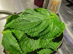 -晓燃地摊烤肉(朝阳双桥店)