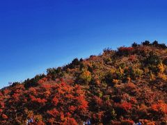 -水峪民俗村