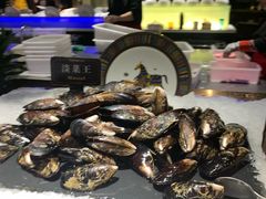 -加餐海鲜自助(宝龙一城店)