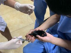 -宠颐生贝利健动物医院(谢家湾分院)