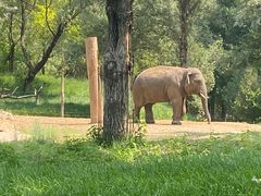 -北京野生动物园