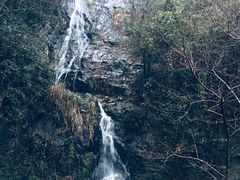 -天明山温泉大酒店