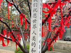 -石岛赤山风景区