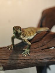 -Zoolung Zoolung动物主题公园(海信广场店)