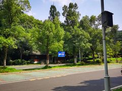 -潜山国家森林公园