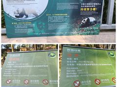 -中国大熊猫保护研究中心雅安碧峰峡基地