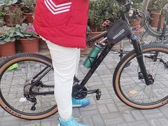 -道路口单车爱瓦士dahon大行