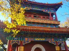 -北京国子监胡同