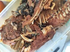-金鹏鱼肉馆
