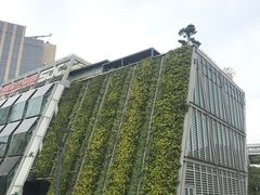 -活水公园
