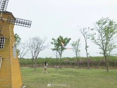 -上海海湾国家森林公园