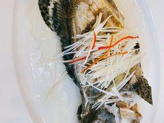 -鹏天阁酒楼·海鲜(红旗店)