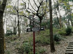 -平湖九龙山旅游度假区