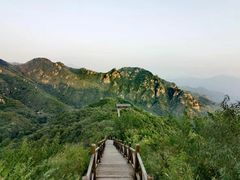 -大岭沟猕猴桃谷风景区