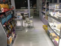 -喵的天空名猫咖啡馆·撸猫·猫舍·用品