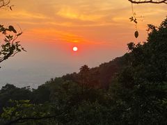 -紫金山山顶公园