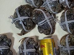 -Mevlana梅夫娜土耳其餐厅·清真