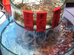 -强记海鲜·大排档(蛇口新街店)
