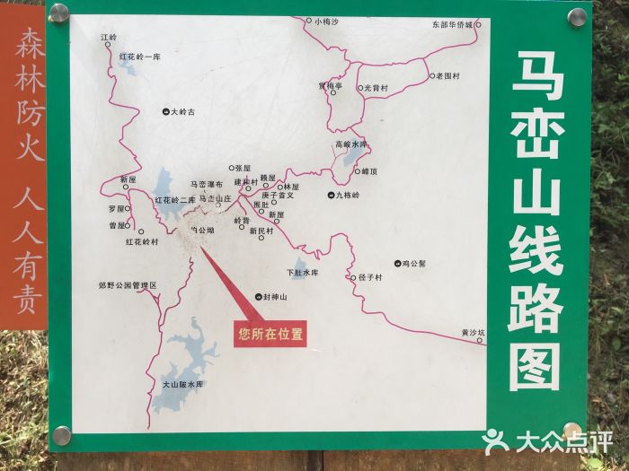 马峦山郊野公园图片