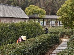 -黄陂区野村谷景区